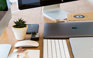 钓鱼关键在饵料吗？